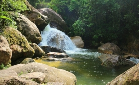 SP amplia área do Parque Serra do Mar com espécies em extinção