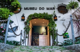 Celebrando 37 anos, Museu do Mar é um verdadeiro mergulho na biologia marinha