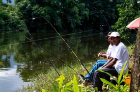 Torneio da Pesca da Tainha movimenta o feriado em Cubatão