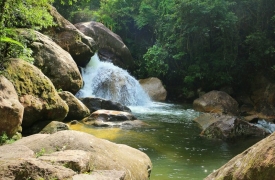 SP amplia área do Parque Serra do Mar com espécies em extinção