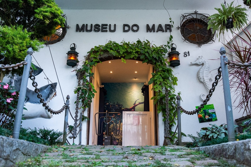 Celebrando 37 anos, Museu do Mar é um verdadeiro mergulho na biologia marinha