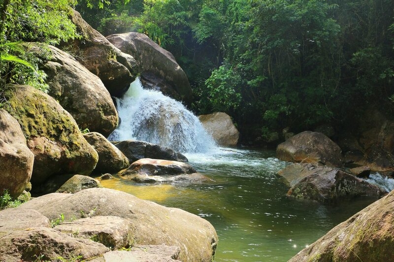 SP amplia área do Parque Serra do Mar com espécies em extinção