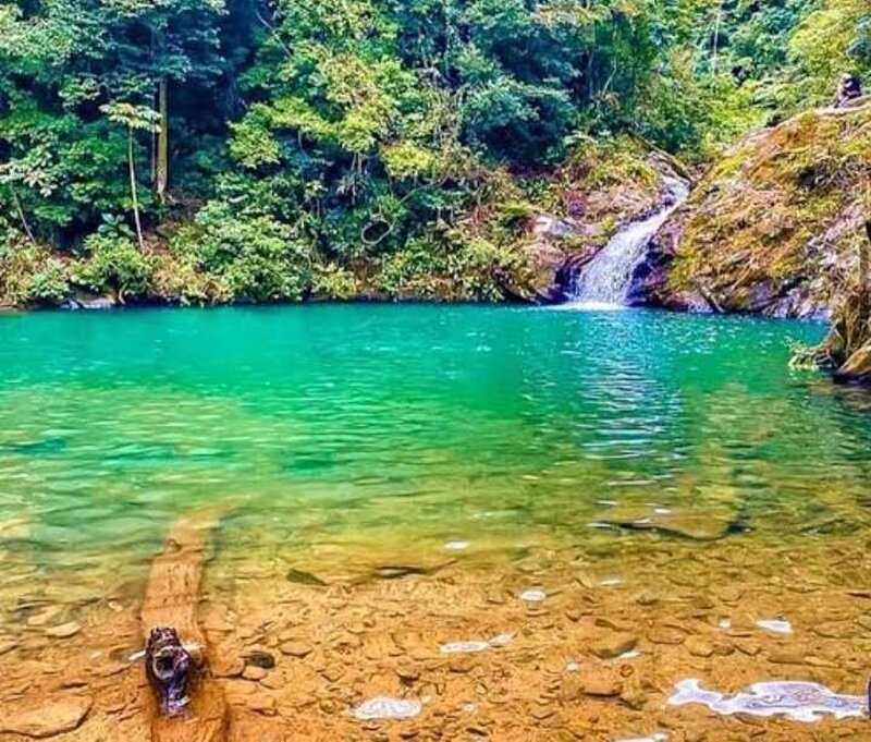 Meio Ambiente promove debate sobre o Plano Municipal de Educação Ambiental